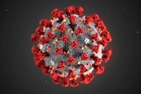 FT: реальная смертность от коронавируса на России может быть на 70% выше официальной