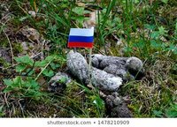 Russian flag banner placed pile