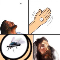 Fly and Jesus